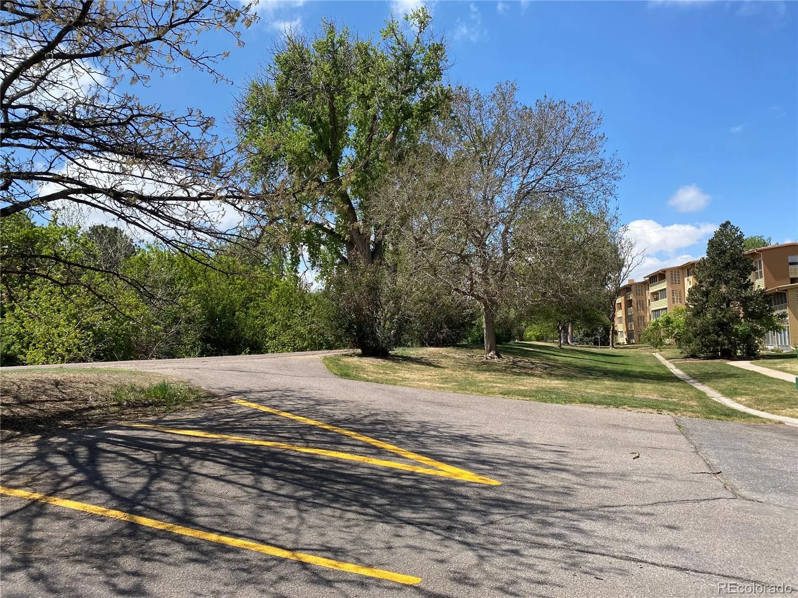 795 S Alton Way #8C Denver CO 80247 | MLS #REC3589412 08222026004103 1600 39