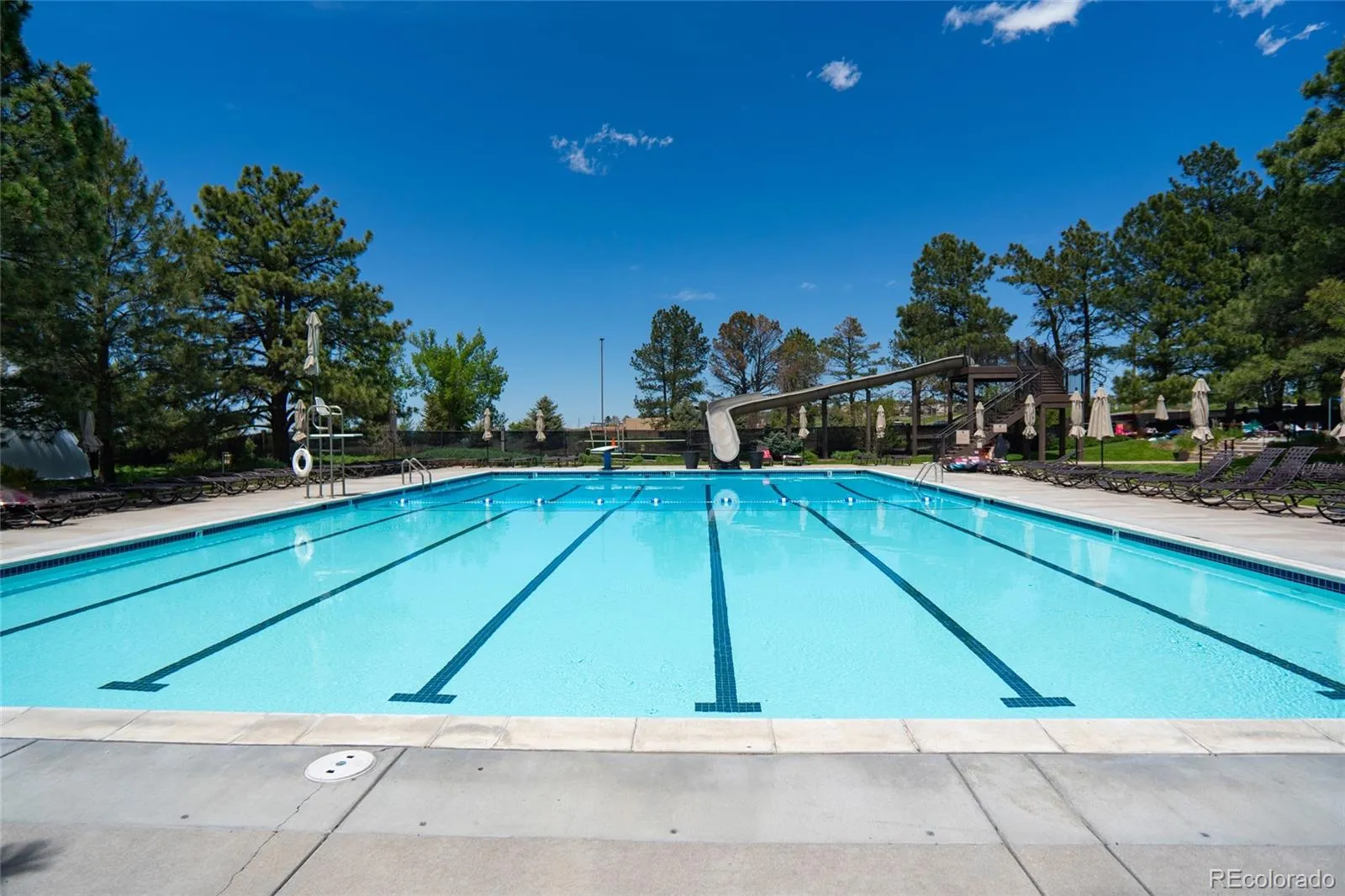 6019 Belmont Way Parker CO 80134 MLS #REC3594374 05222026220415 1600 42