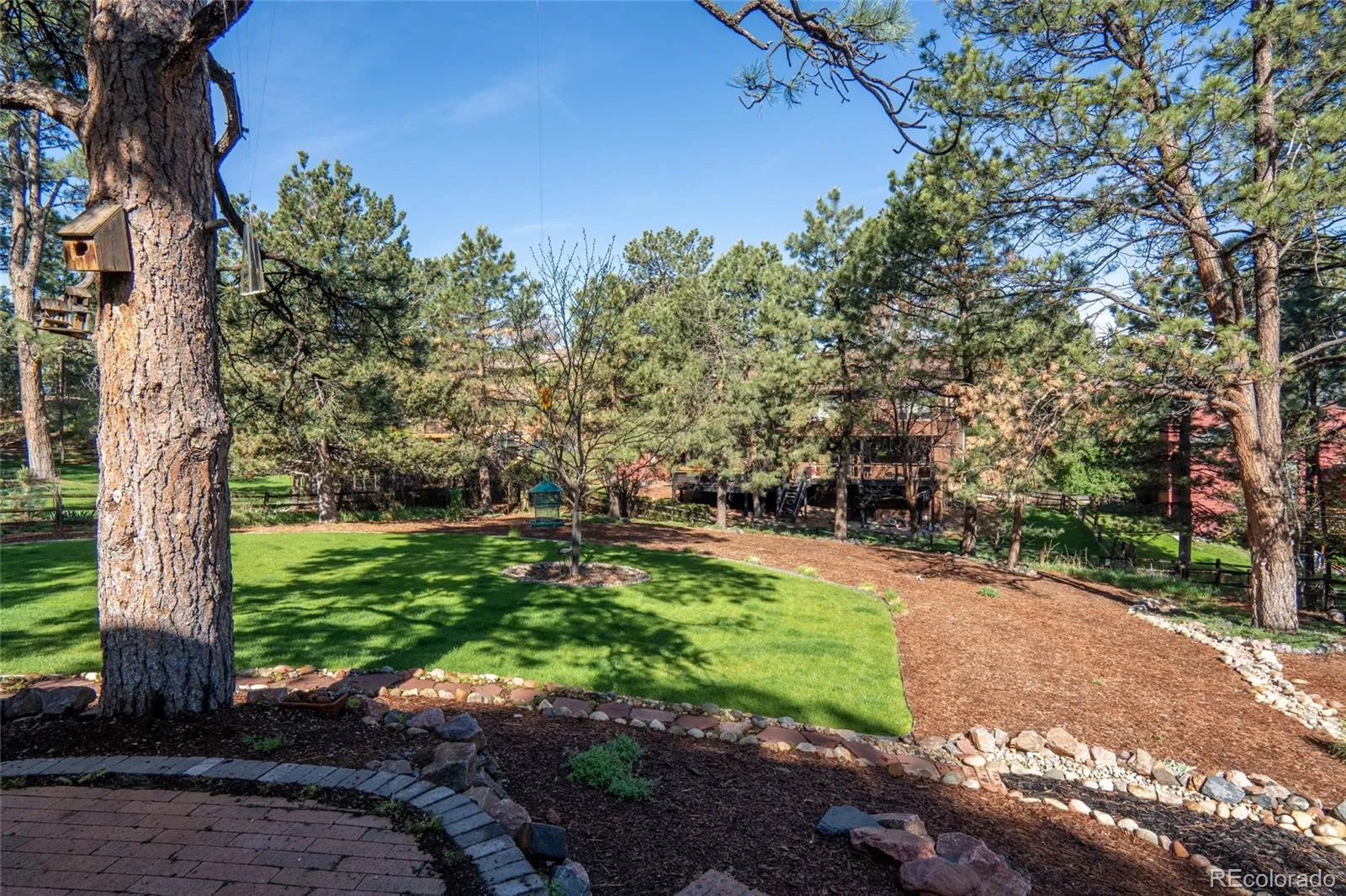 6019 Belmont Way Parker CO 80134 MLS #REC3594374 05222026220415 1600 7