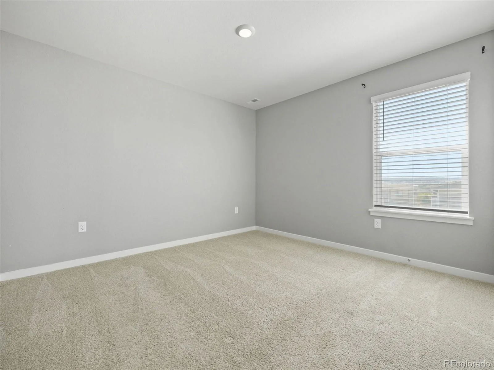 17932 Dandy Brush Drive Parker CO 80134 | MLS #REC3595284 08252026153011 1600 31