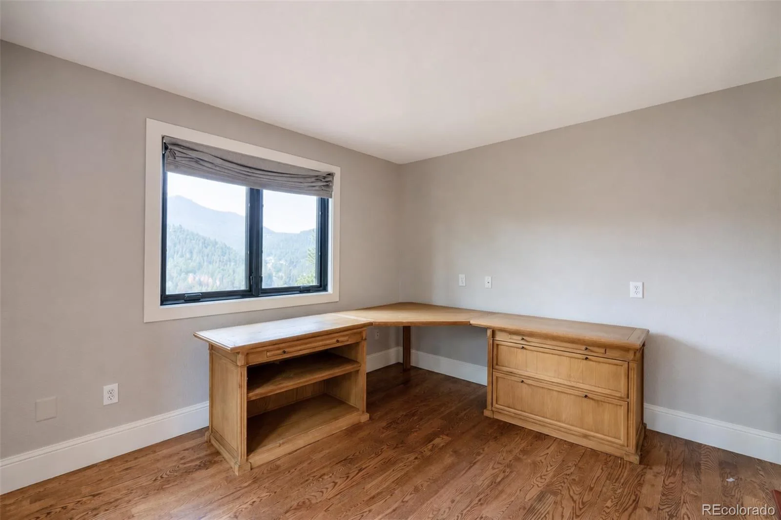 3276 Meadow View Road Evergreen CO 80439 | MLS #REC3596129 08072026014442 1600 30