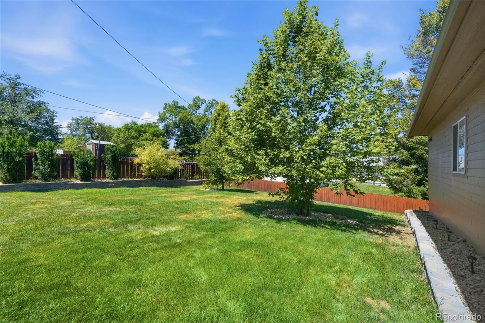 7753 Saulsbury Street Arvada CO 80003 MLS #REC3602890 06192026050720 1600 37