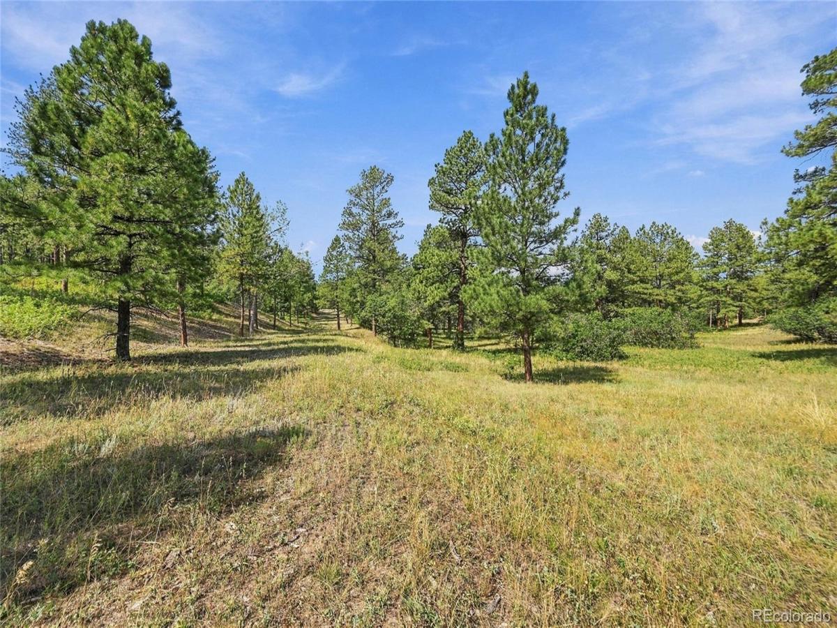 MLS #REC3604350 image #0