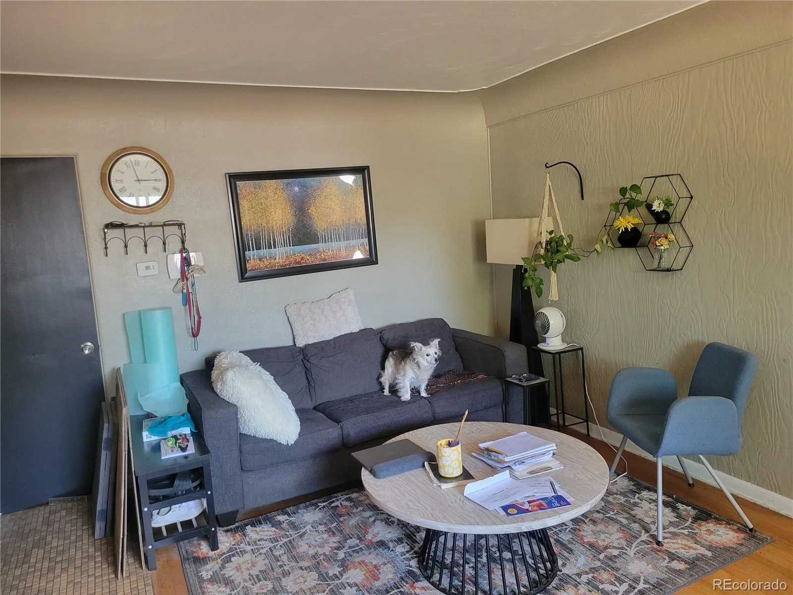 4825 S Galapago Street Englewood CO 80110 | MLS #REC3604489 08052026154649 1600 3