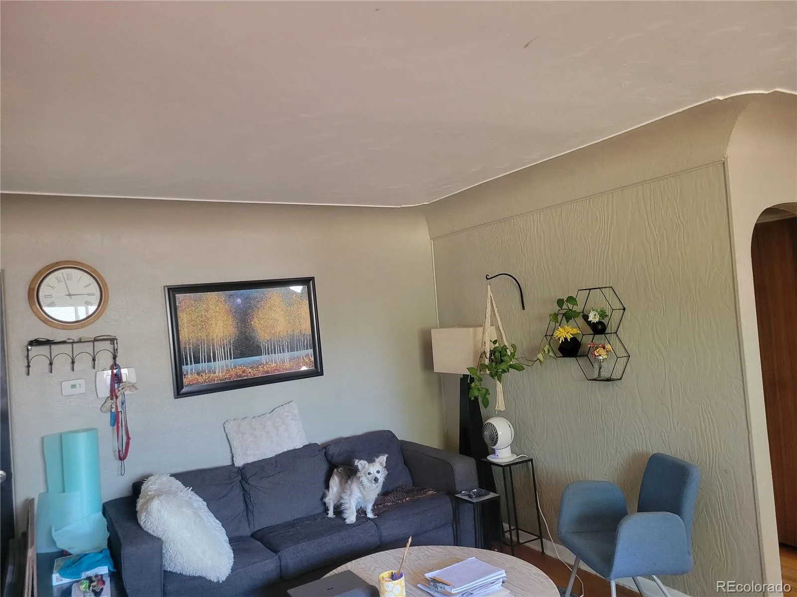 4825 S Galapago Street Englewood CO 80110 | MLS #REC3604489 08052026154649 1600 4