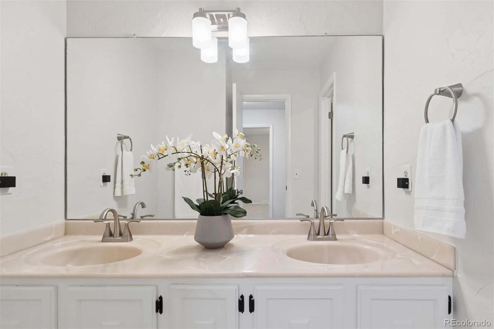 9821 E Walsh Place Denver CO 80247 | MLS #REC3614789 10172026164300 1600 25