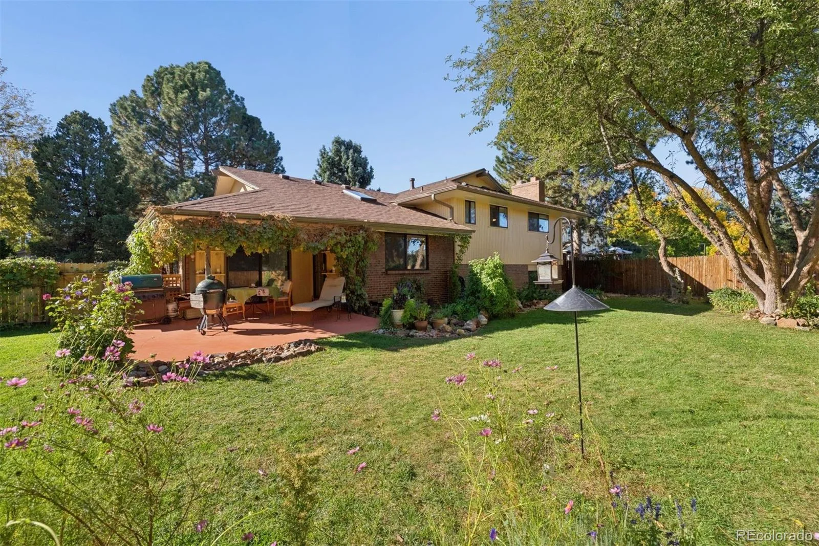 9821 E Walsh Place Denver CO 80247 | MLS #REC3614789 10172026164300 1600 30