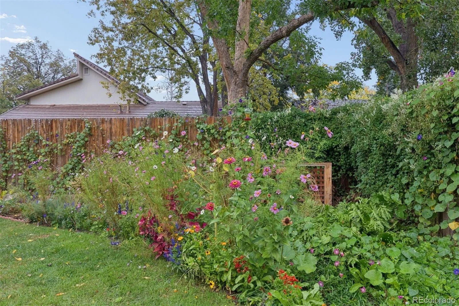 9821 E Walsh Place Denver CO 80247 | MLS #REC3614789 10172026164300 1600 31