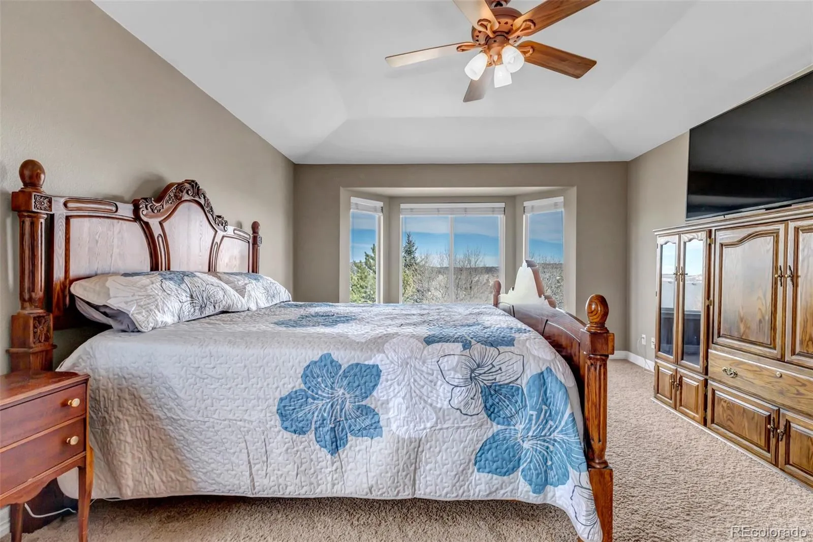 3188 Soaring Eagle Lane Castle Rock CO 80109 MLS #REC3615484 04202026165323 1600 19