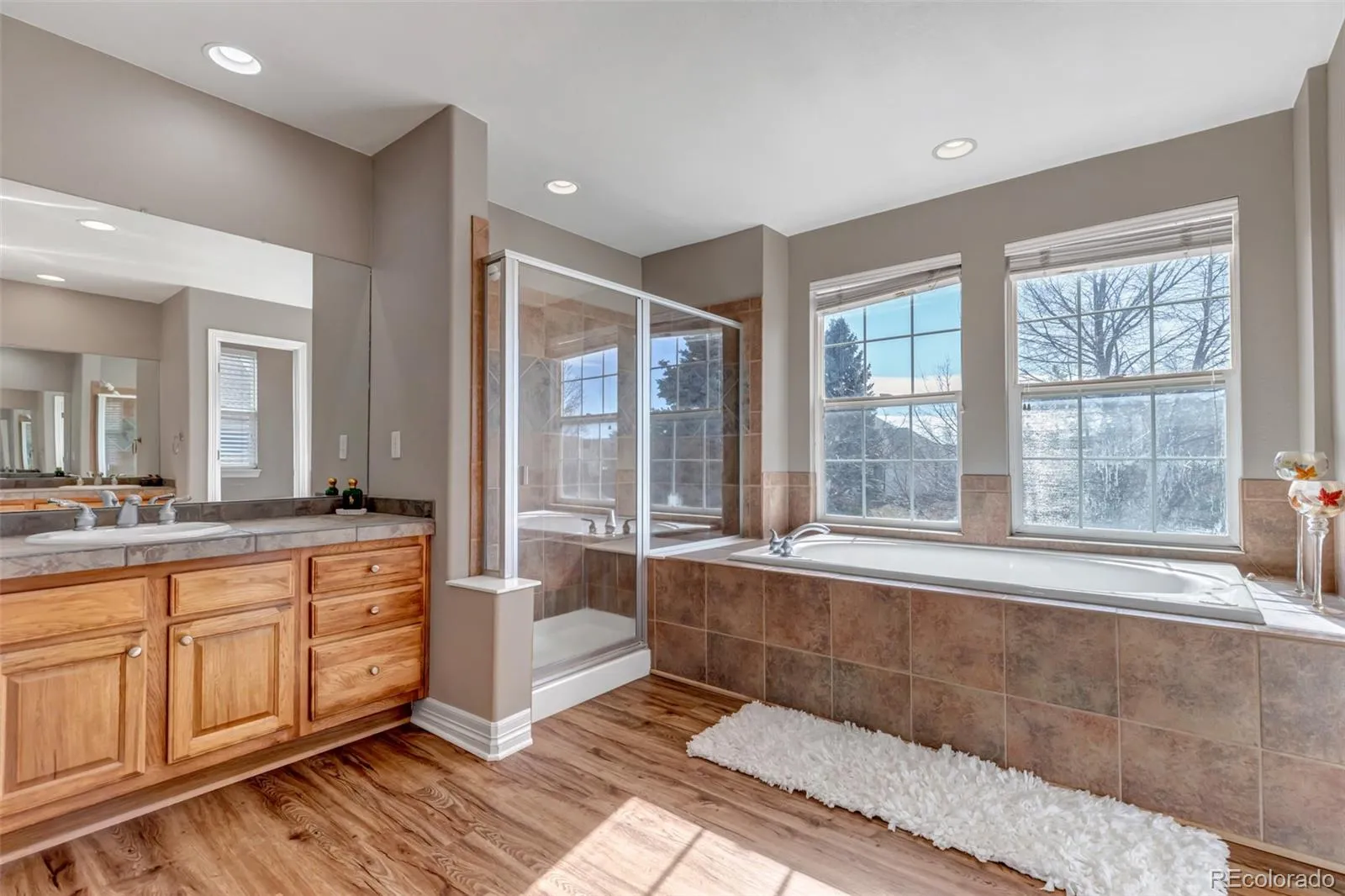 3188 Soaring Eagle Lane Castle Rock CO 80109 MLS #REC3615484 04202026165323 1600 22
