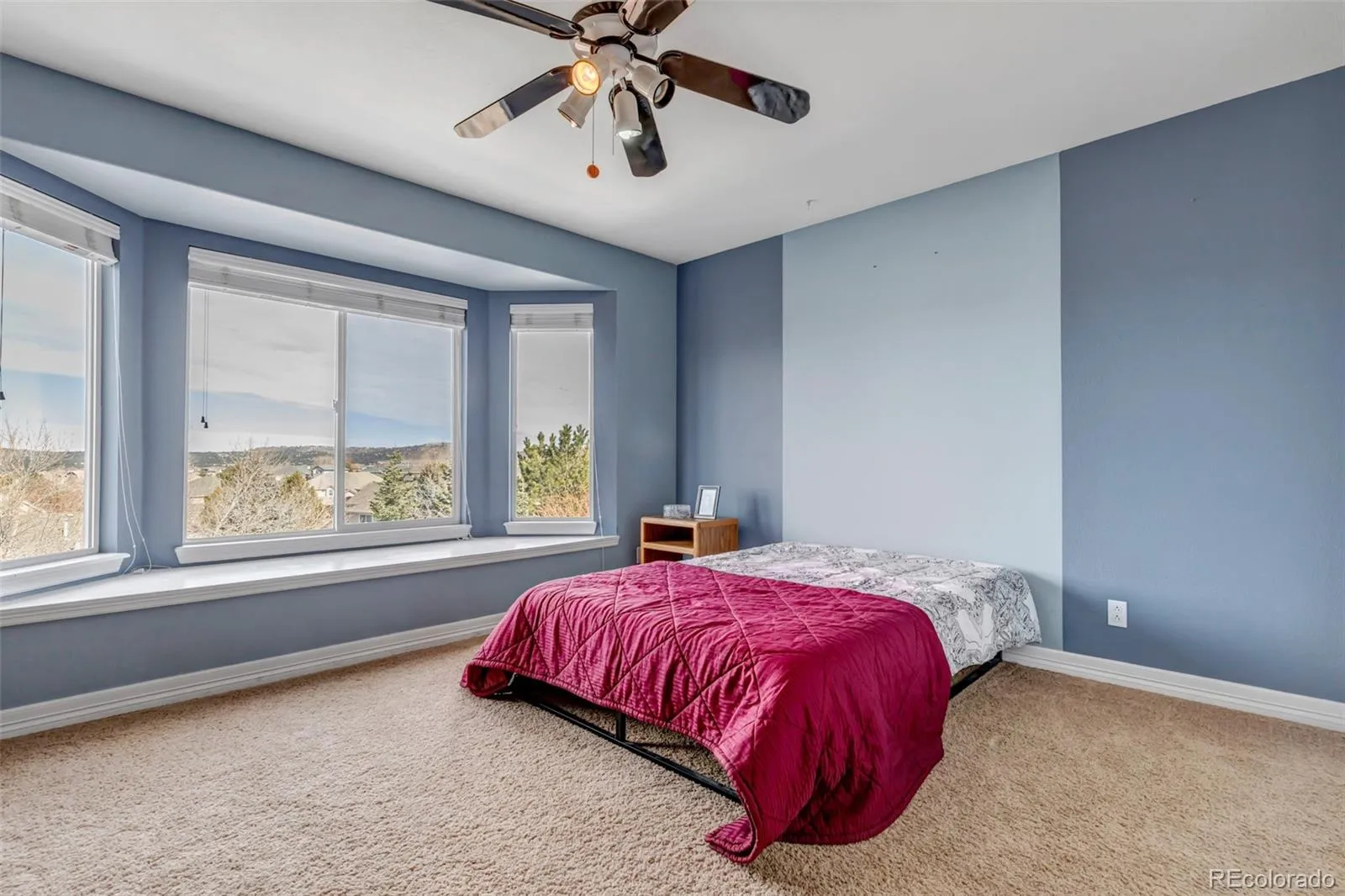 3188 Soaring Eagle Lane Castle Rock CO 80109 MLS #REC3615484 04202026165323 1600 25