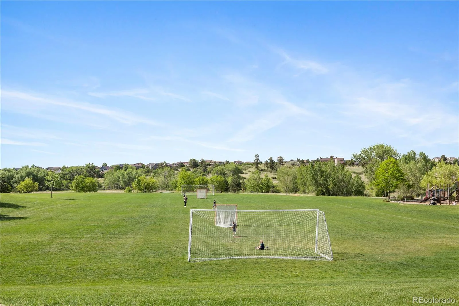 12548 Bagley Way Parker CO 80134 MLS #REC3618073 06292026203045 1600 35
