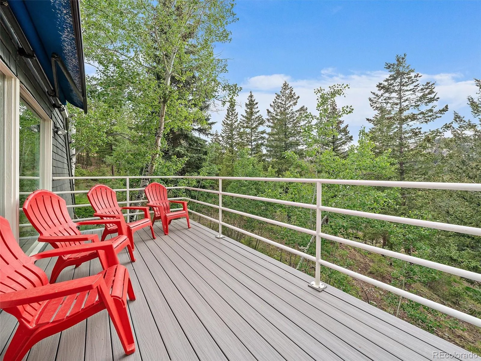 6645 Olympus Drive Evergreen CO 80439 | MLS #REC3627935 06142026203724 1600 16