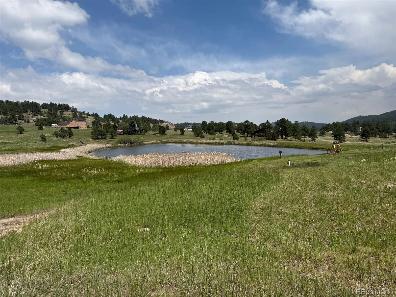 6645 Olympus Drive Evergreen CO 80439 | MLS #REC3627935 06142026203724 1600 48