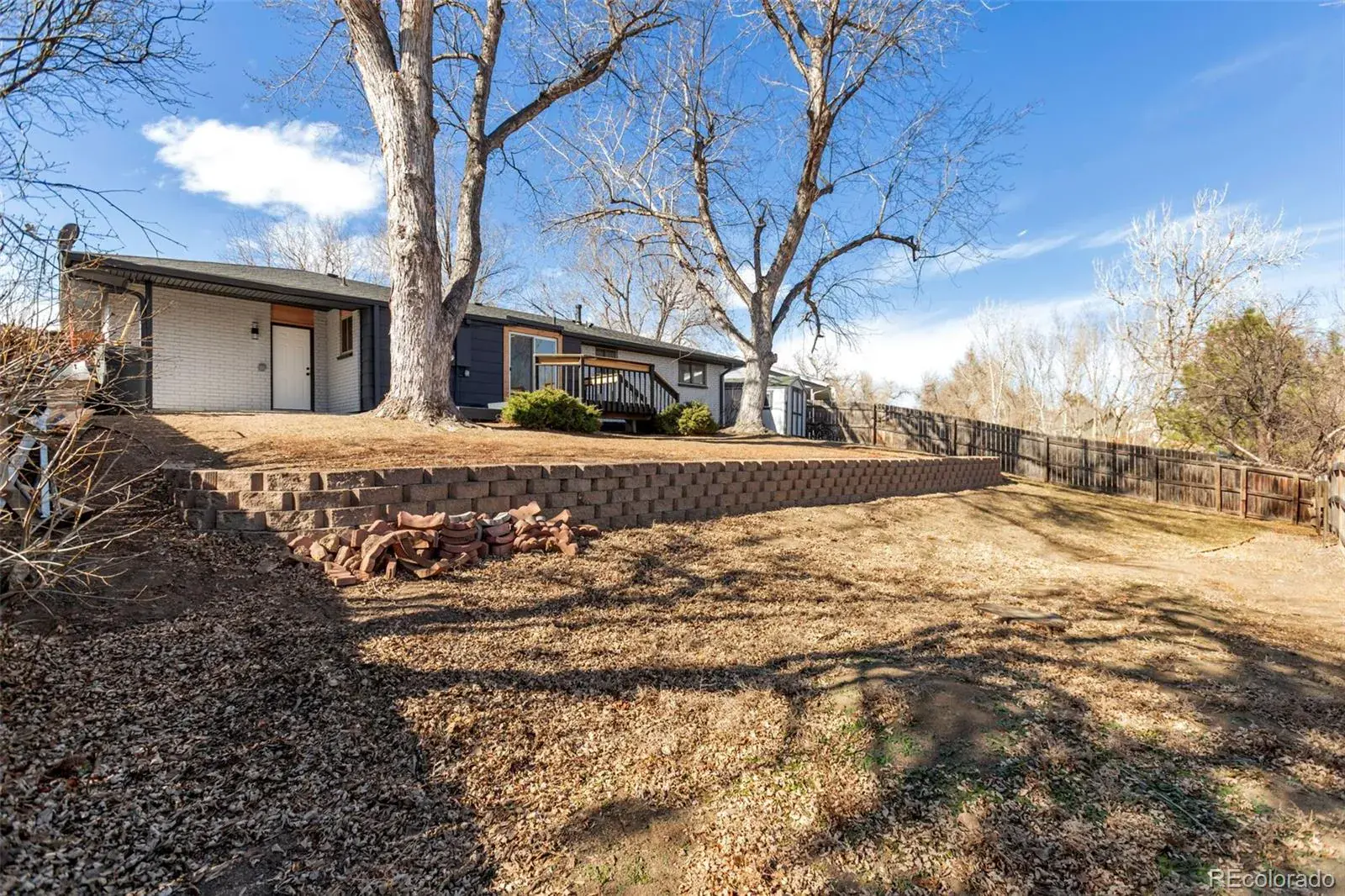 02222026004936 1600 24