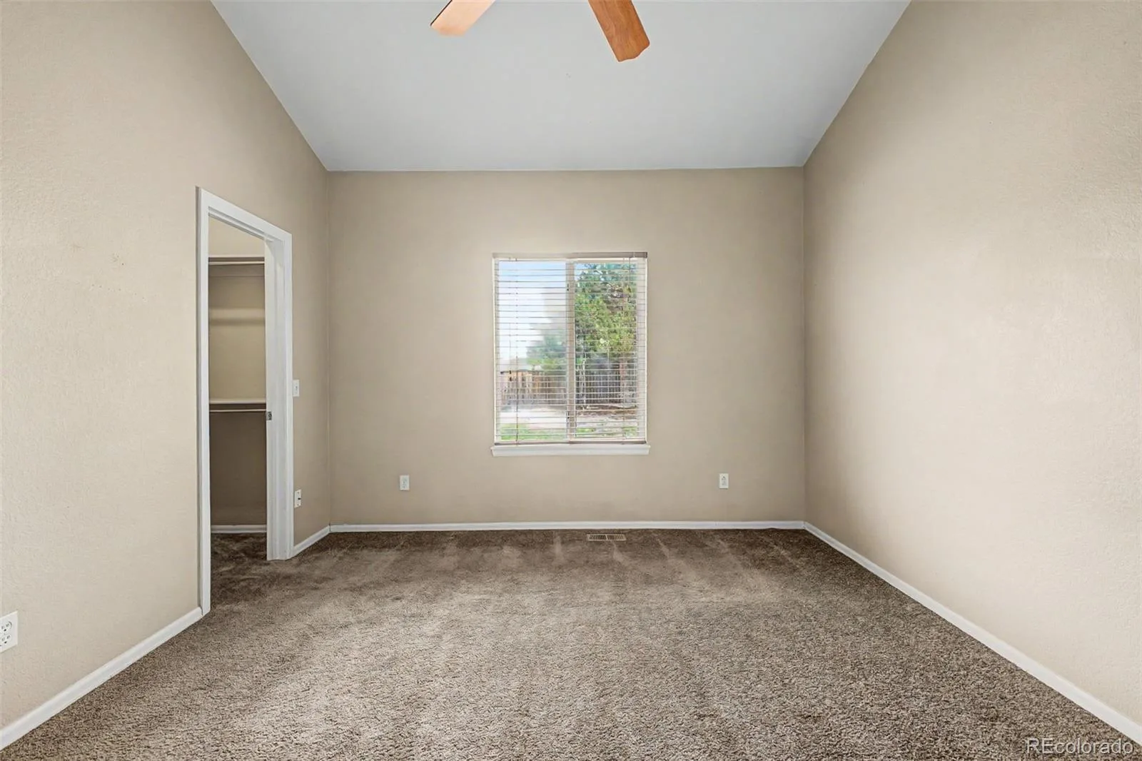 607 Balsa Drive Castle Rock CO 80104 MLS #REC3635266 05292026130659 1600 15