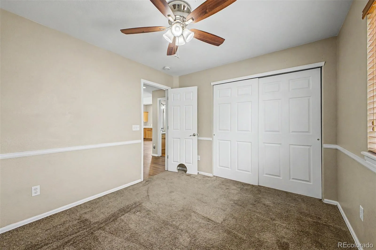 607 Balsa Drive Castle Rock CO 80104 MLS #REC3635266 05292026130659 1600 18