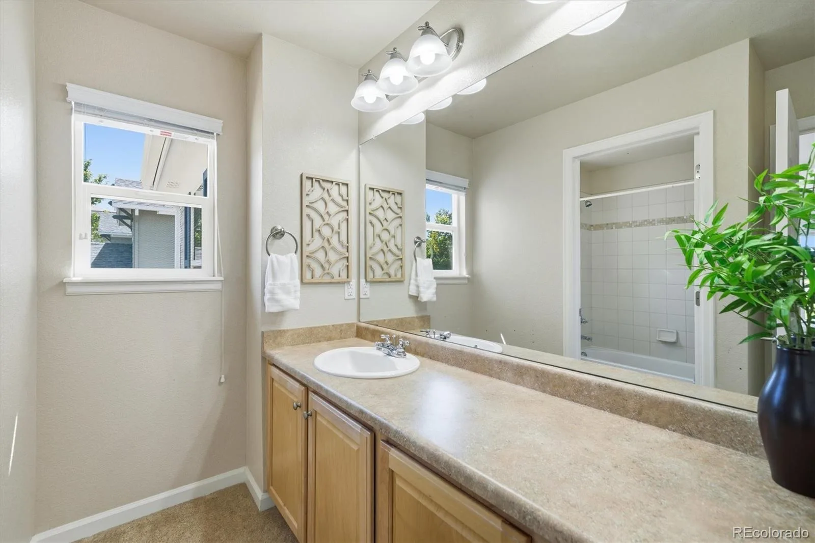 731 Briar Haven Drive Castle Pines CO 80108 | MLS #REC3636679 09012026053631 1600 28