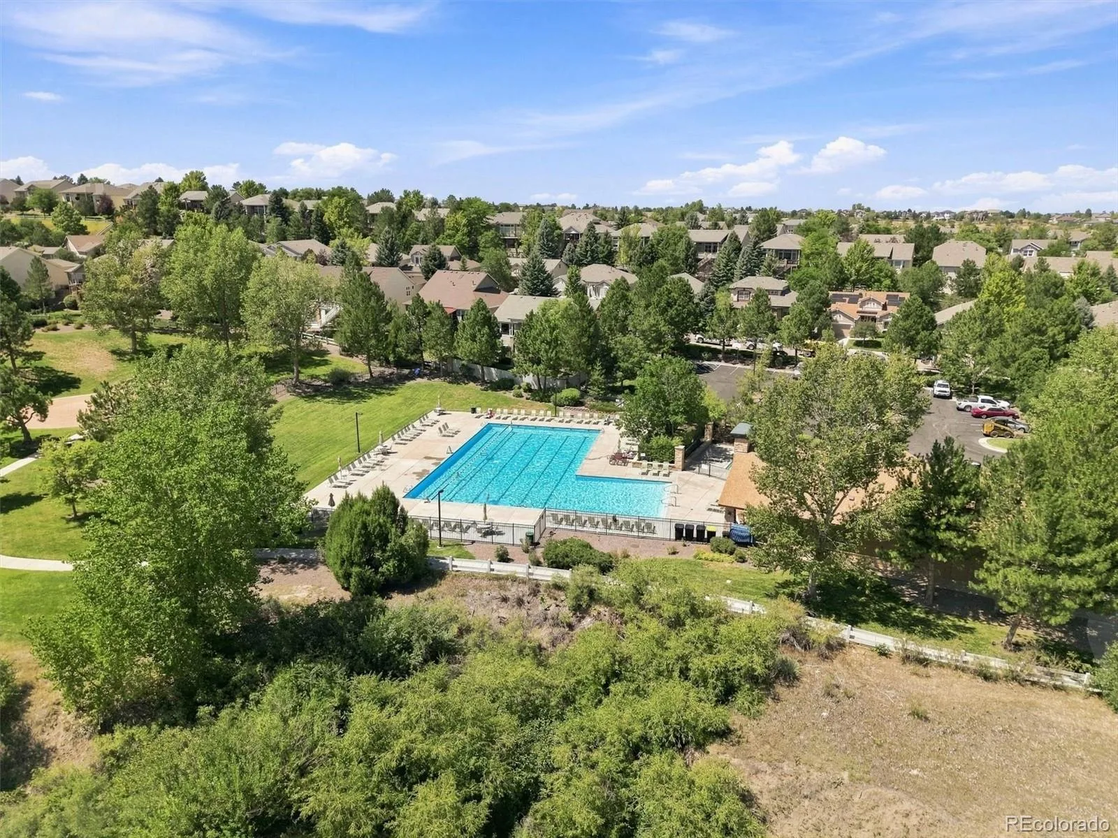 731 Briar Haven Drive Castle Pines CO 80108 | MLS #REC3636679 09012026053631 1600 45