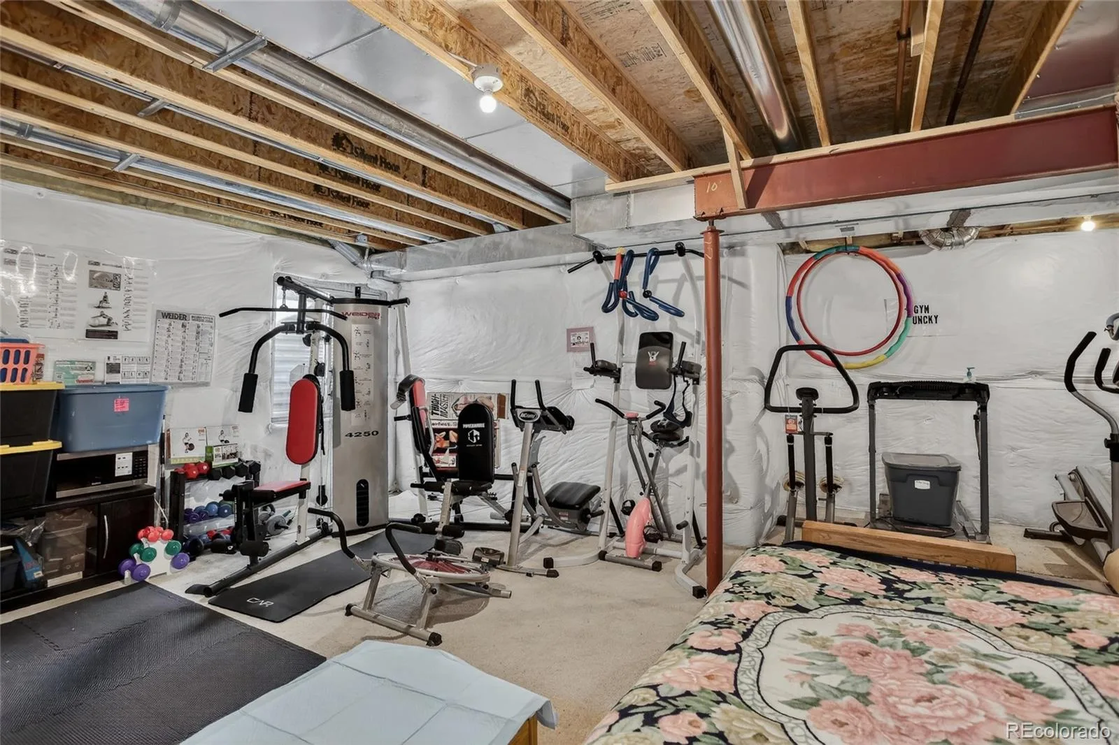 4056 N Lisbon Street Denver CO 80249 MLS #REC3638816 06122026065528 1600 31