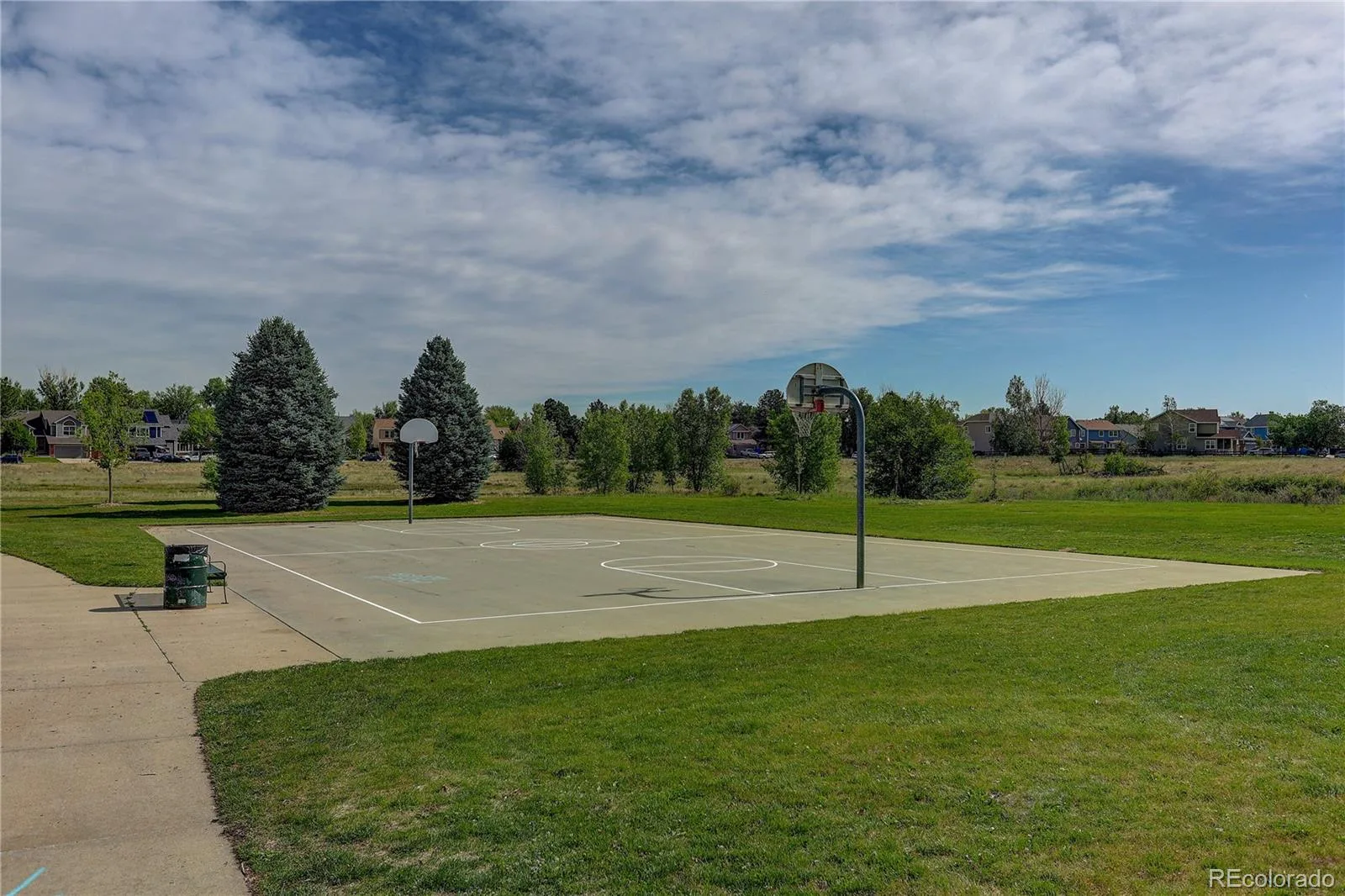 4056 N Lisbon Street Denver CO 80249 MLS #REC3638816 06122026065528 1600 36