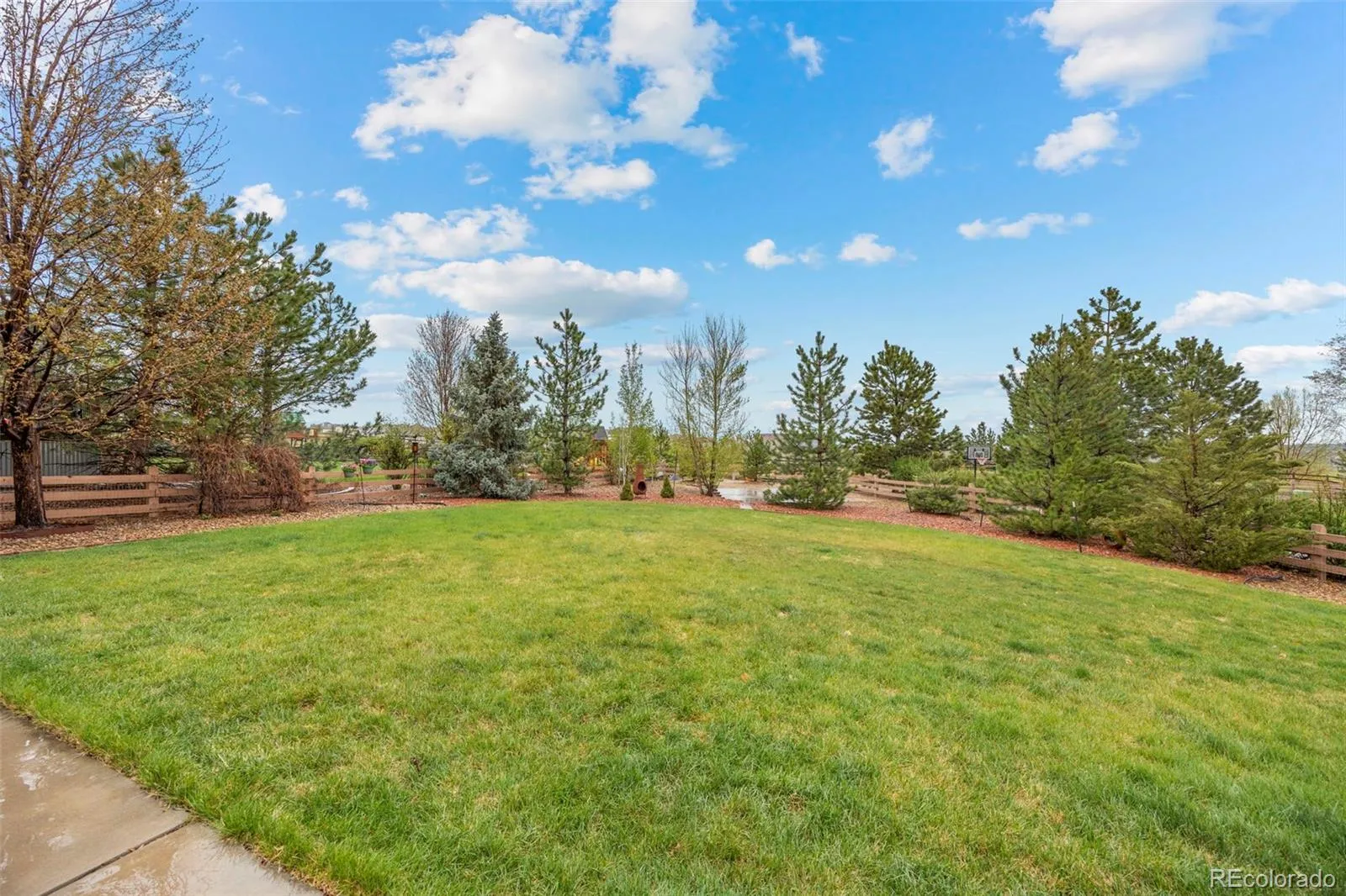 5791 Chisholm Place Parker CO 80134 MLS #REC3643800 04072026181007 1600 32