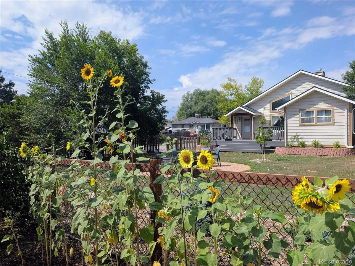 221 Jay Street Lakewood CO 80226 MLS #REC3650609 05112026231338 1200 1