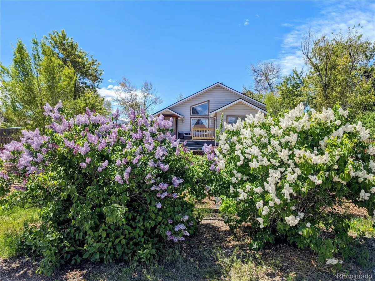 221 Jay Street Lakewood CO 80226 MLS #REC3650609 05112026231338 1200 36