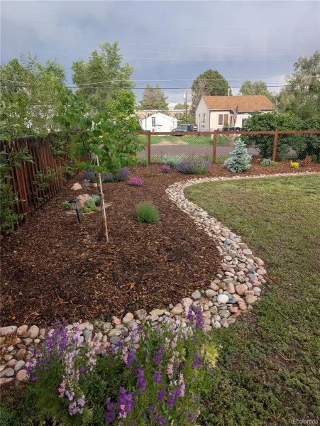 221 Jay Street Lakewood CO 80226 MLS #REC3650609 05112026231338 800 43