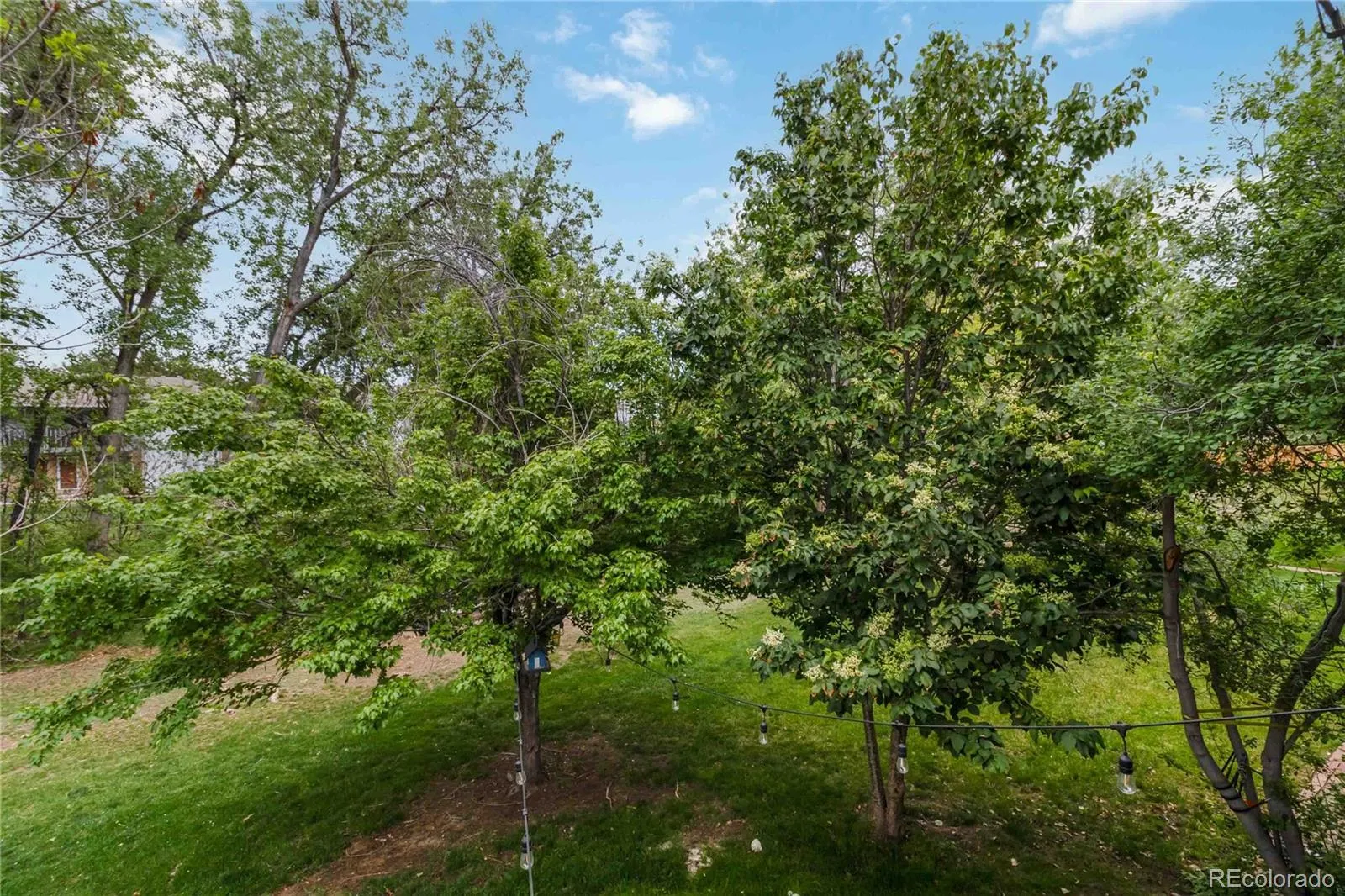 391 Upham Street Lakewood CO 80226 MLS #REC3655234 05152026195056 1600 34