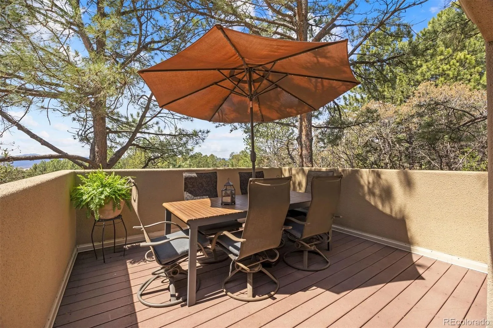 2237 Ridge Plaza Drive Castle Rock CO 80108 MLS #REC3663840 05092026022557 1600 17