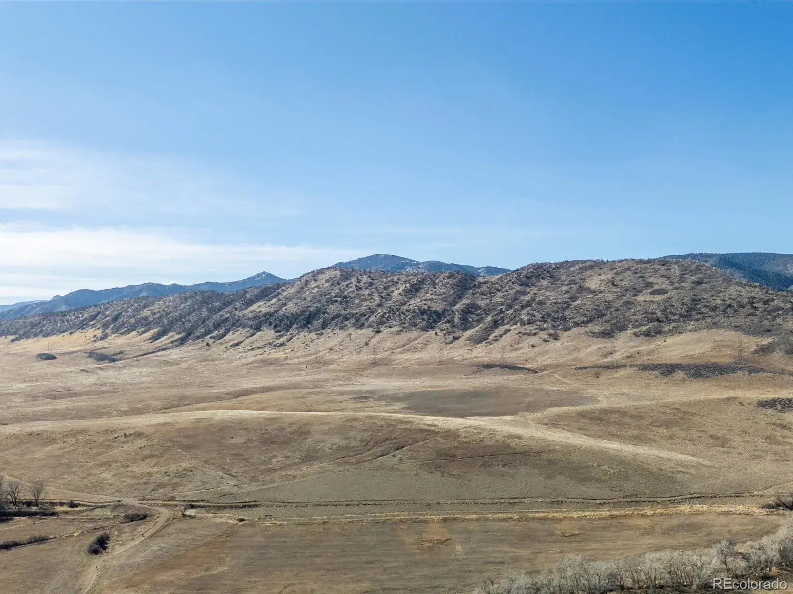 9981 W Victoria Place #202 Littleton CO 80127 MLS #REC3671516 02062026203401 1600 26