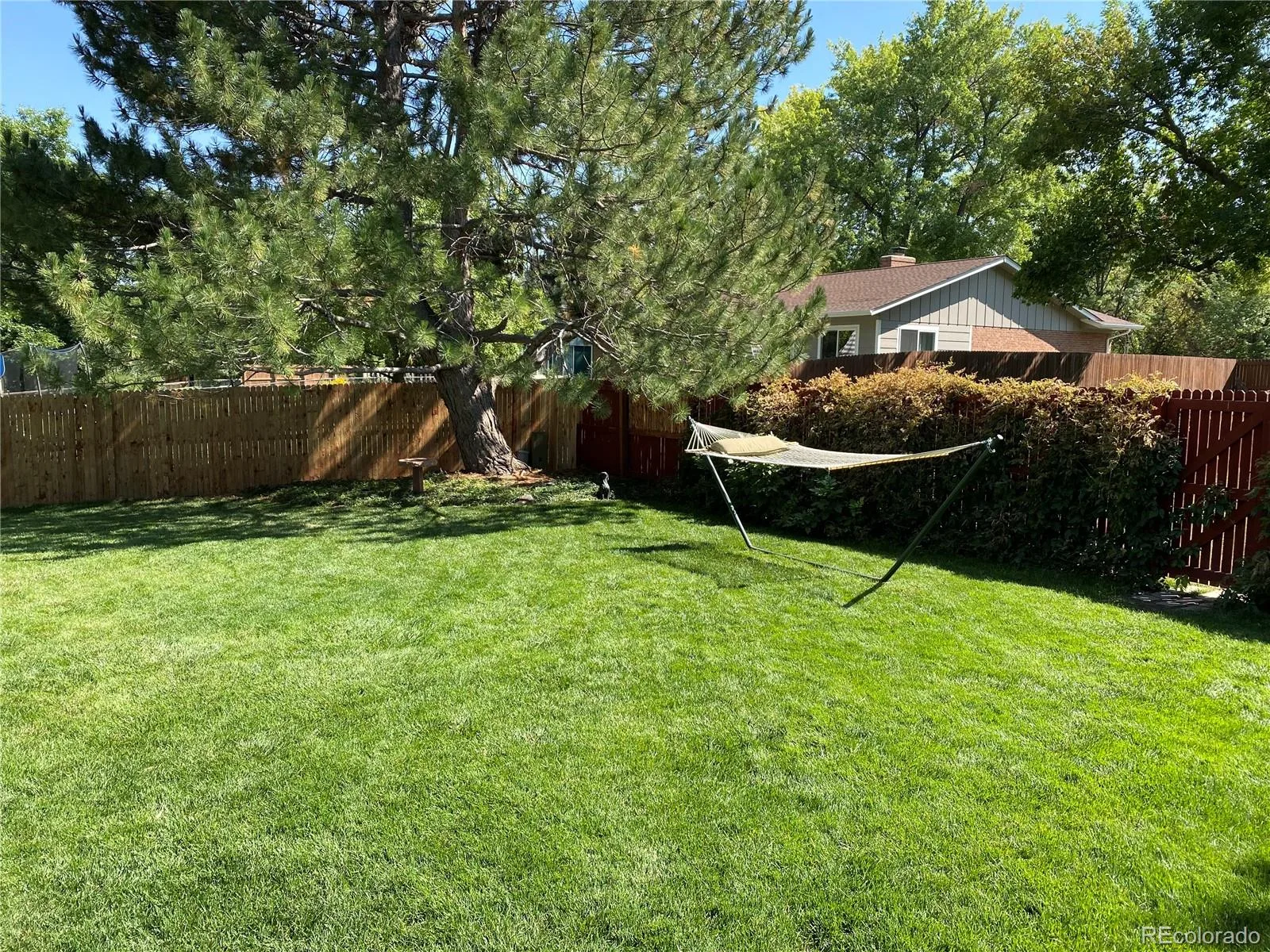 2988 S Niagara Way Denver CO 80224 MLS #REC3672252 06102026113921 1600 29