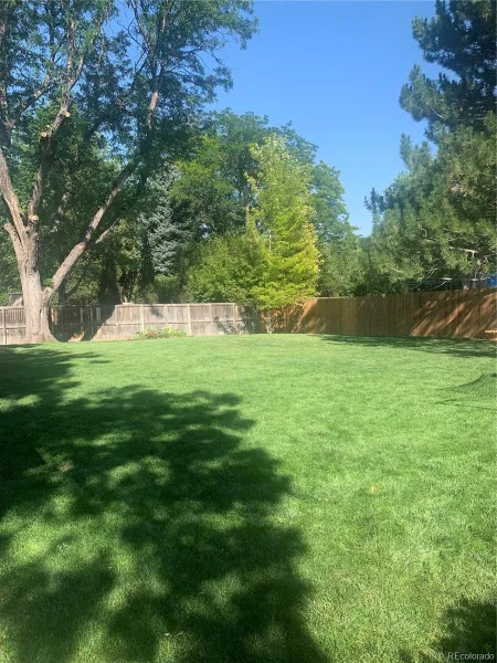 2988 S Niagara Way Denver CO 80224 MLS #REC3672252 06102026113921 800 28