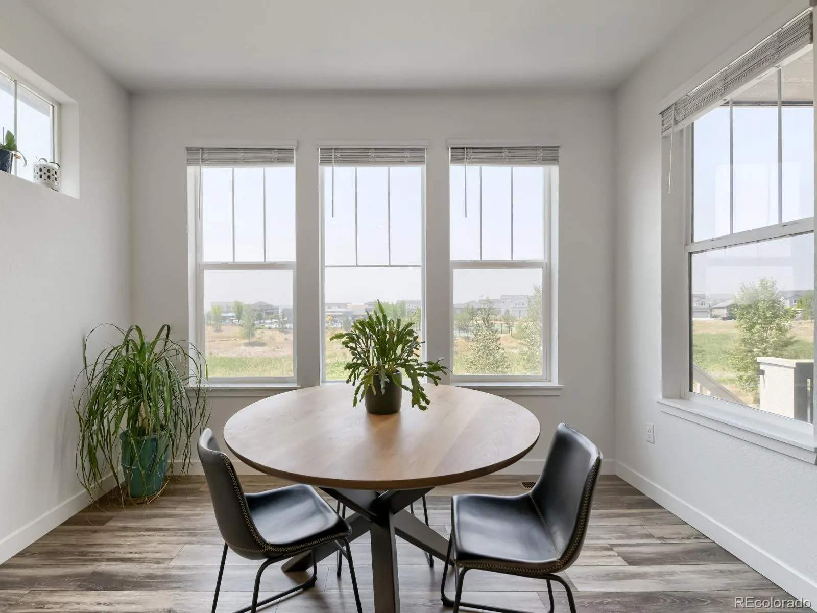12735 Lake Port Street Longmont CO 80504 | MLS #REC3674614 08122026035555 1600 12