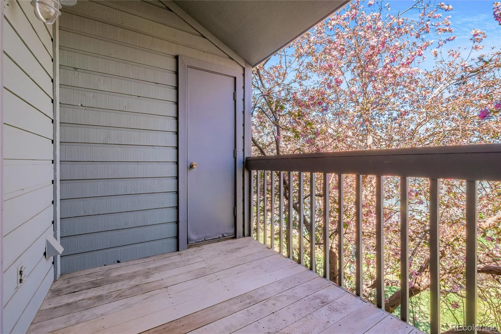 3696 S Depew Street #303 Lakewood CO 80235 | MLS #REC3676194 08172026200400 1600 13
