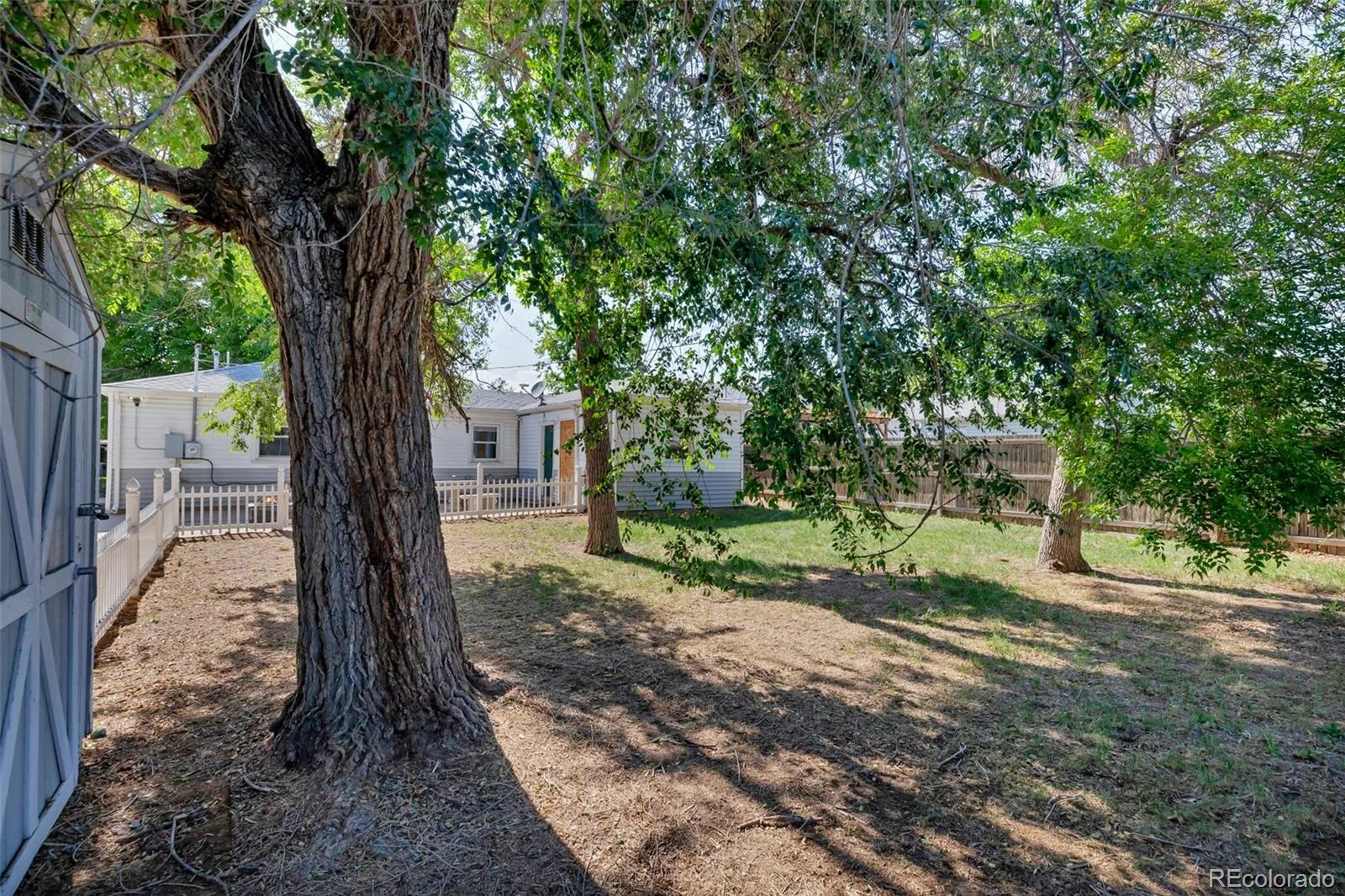 08242026193556 1600 10