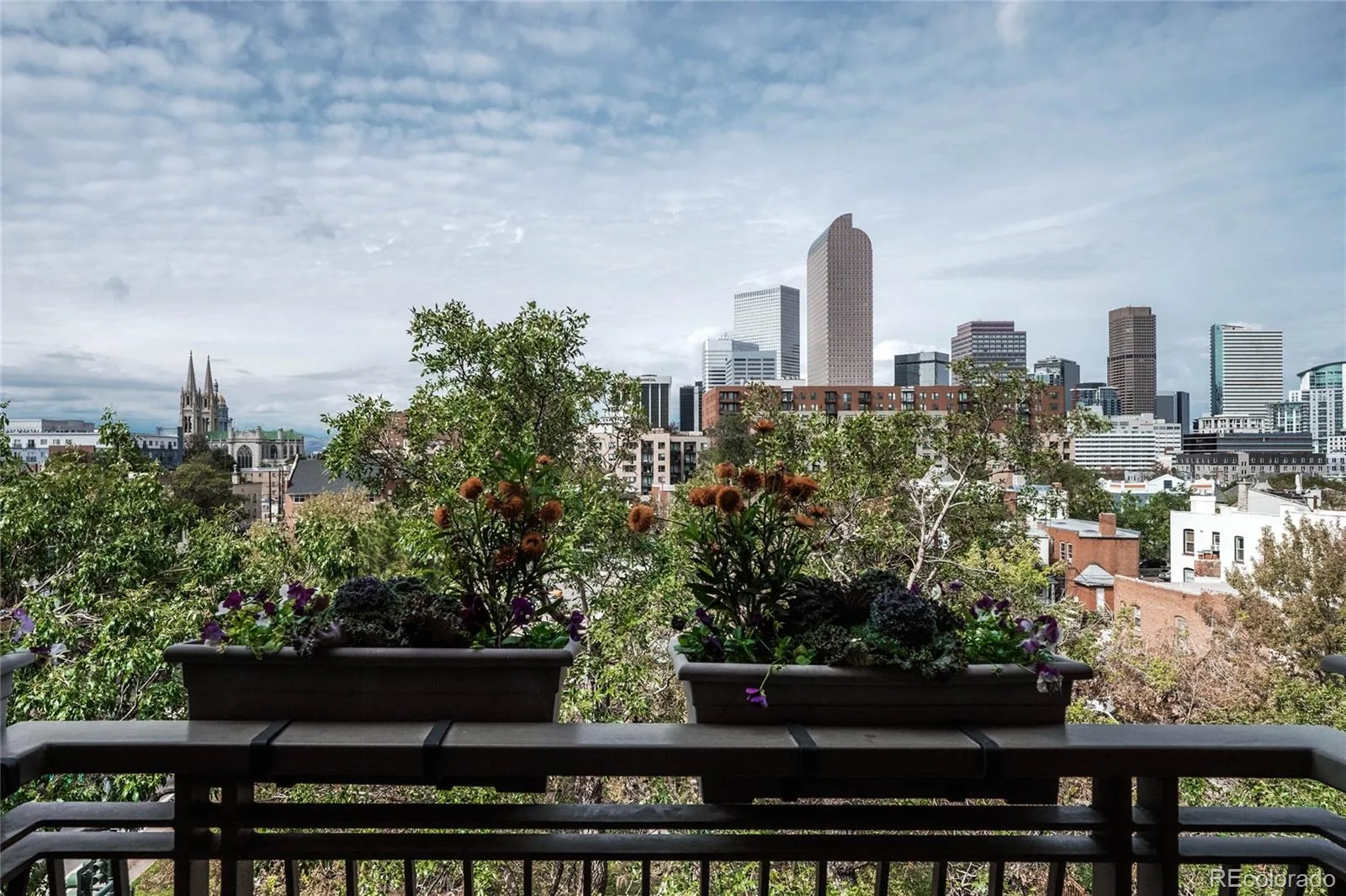 1630 N Clarkson Street #516 Denver CO 80218 | MLS #REC3677454 10122026161400 1600 1