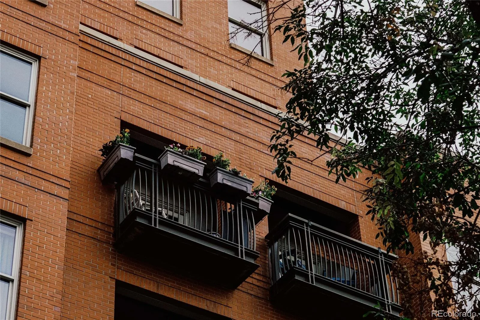 1630 N Clarkson Street #516 Denver CO 80218 | MLS #REC3677454 10122026161400 1600 6