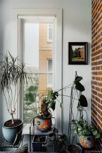 1630 N Clarkson Street #516 Denver CO 80218 | MLS #REC3677454 10122026161400 800 18