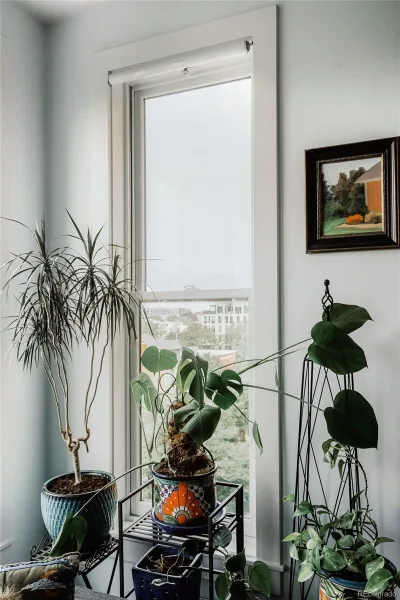 1630 N Clarkson Street #516 Denver CO 80218 | MLS #REC3677454 10122026161400 800 21