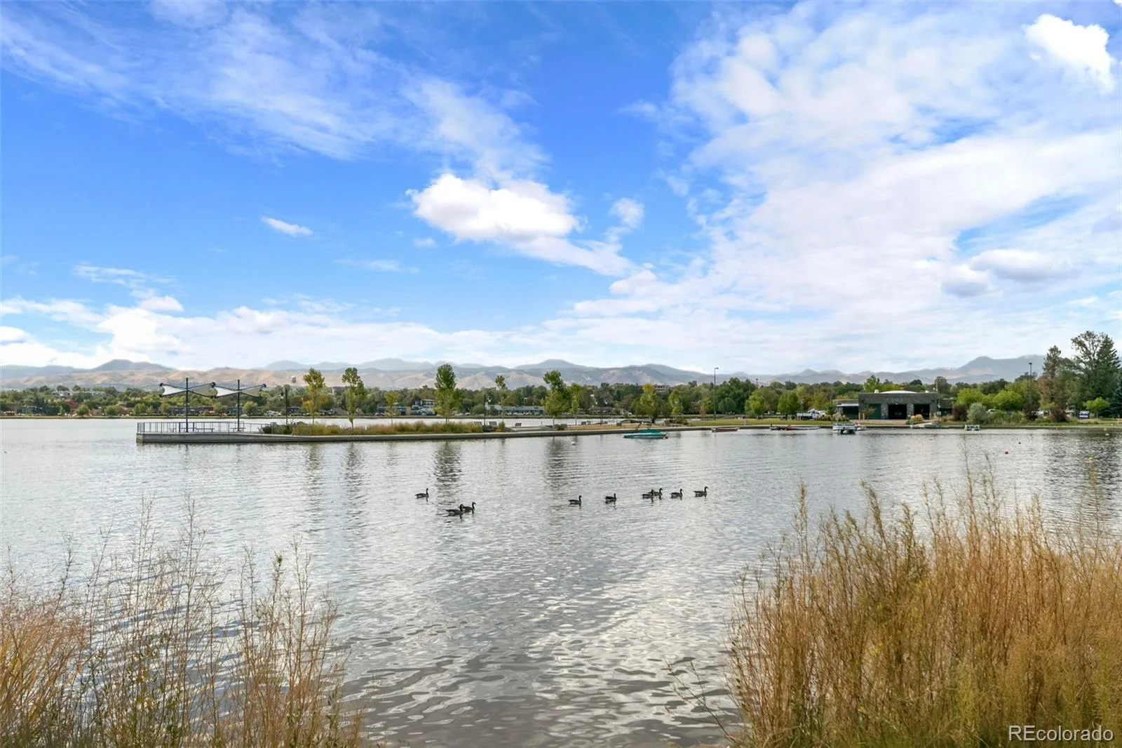 2635 Pierce Street Denver CO 80214 | MLS #REC3686557 07172026193457 1600 48