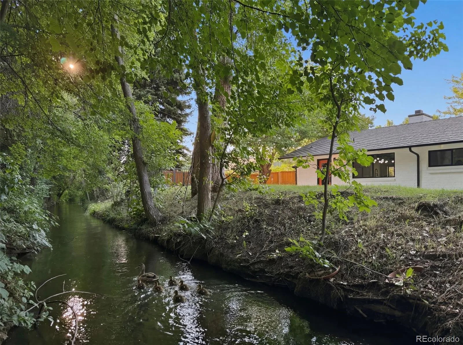 13650 Crabapple Road Golden CO 80401 MLS #REC3688384 07062026183640 1600 5