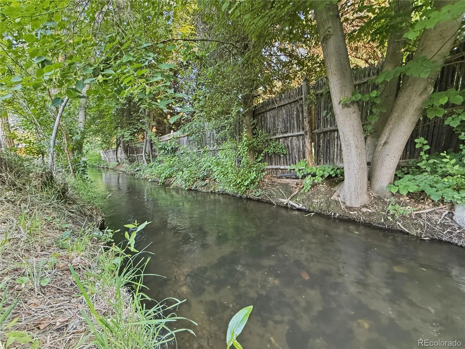 13650 Crabapple Road Golden CO 80401 MLS #REC3688384 07062026183640 1600 7