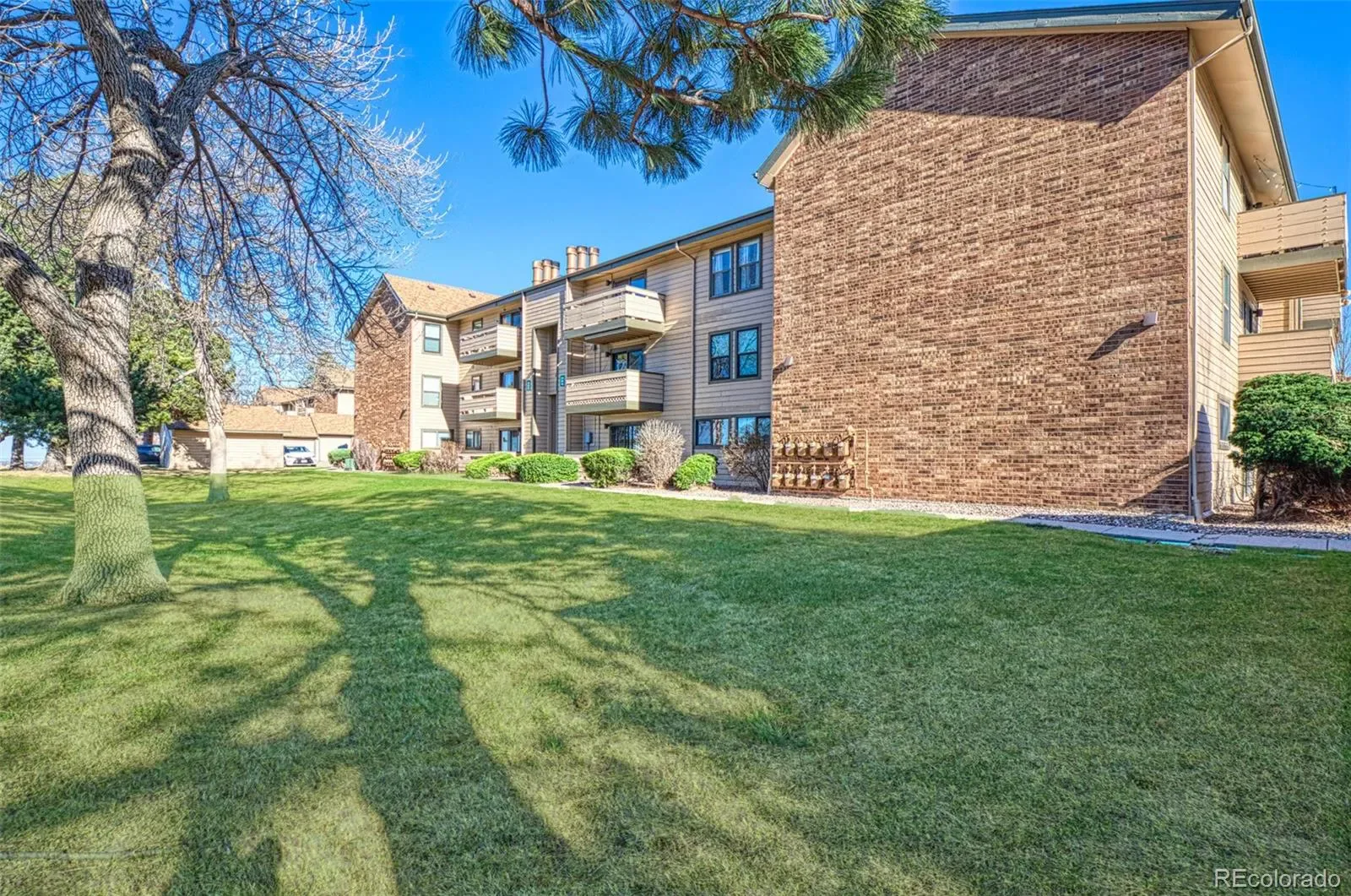 410 Zang Street #2-106 Lakewood CO 80228 MLS #REC3689613 03232026215138 1600 2