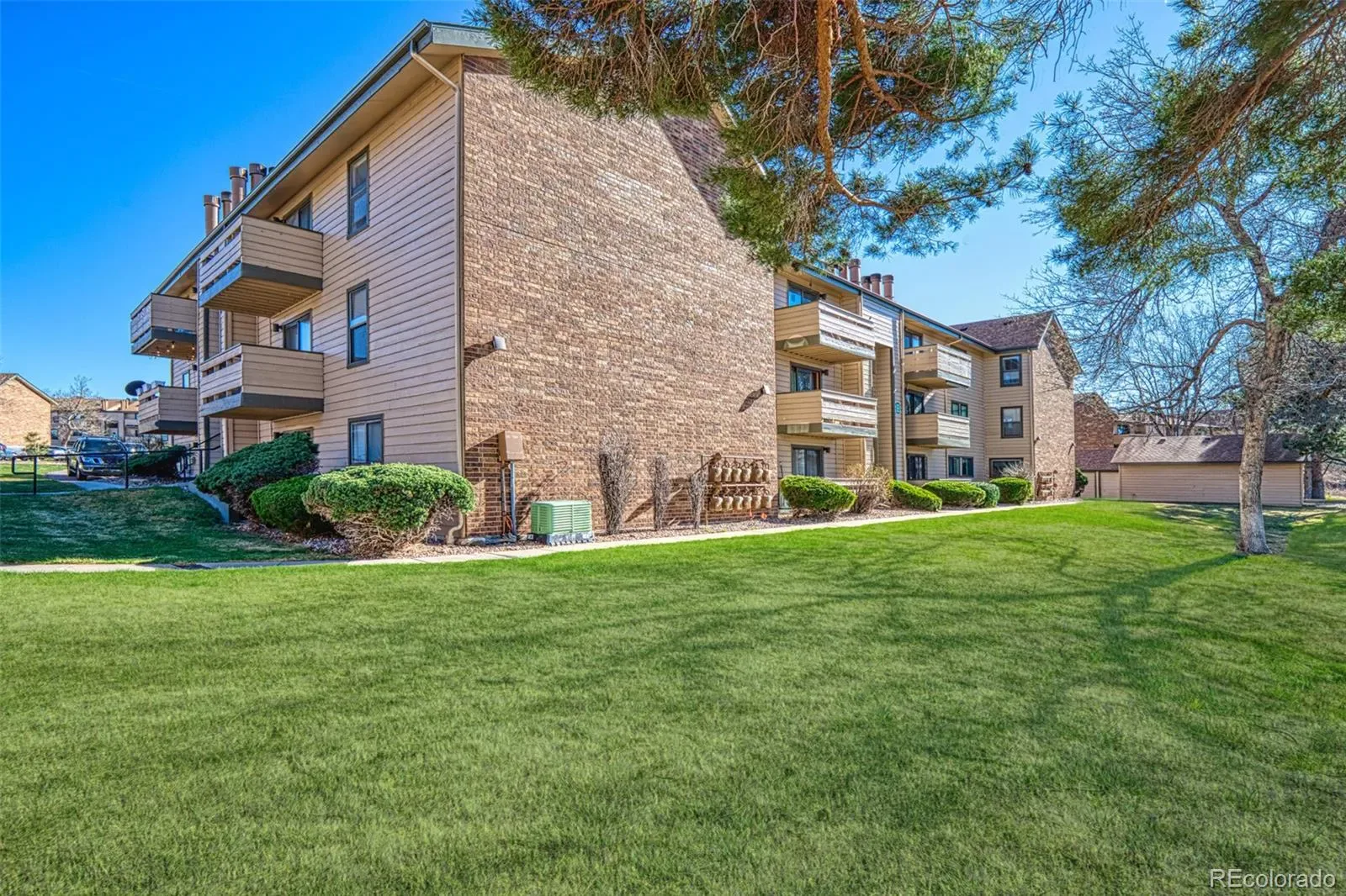 410 Zang Street #2-106 Lakewood CO 80228 MLS #REC3689613 03232026215138 1600 31