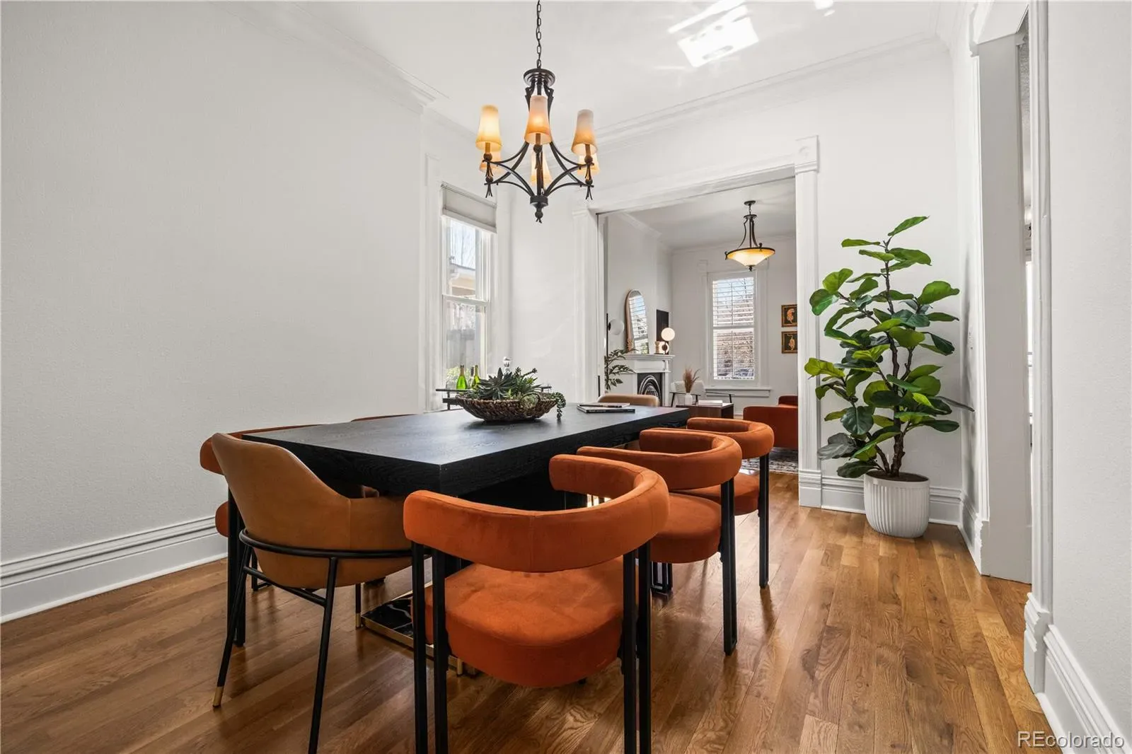 03252026033653 1600 13