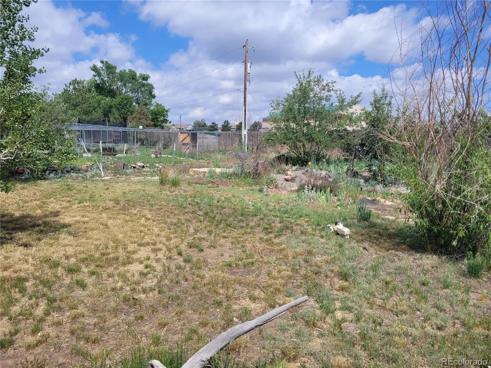 10089 E 159th Place Brighton CO 80602 | MLS #REC3695516 06182026232753 1600 15