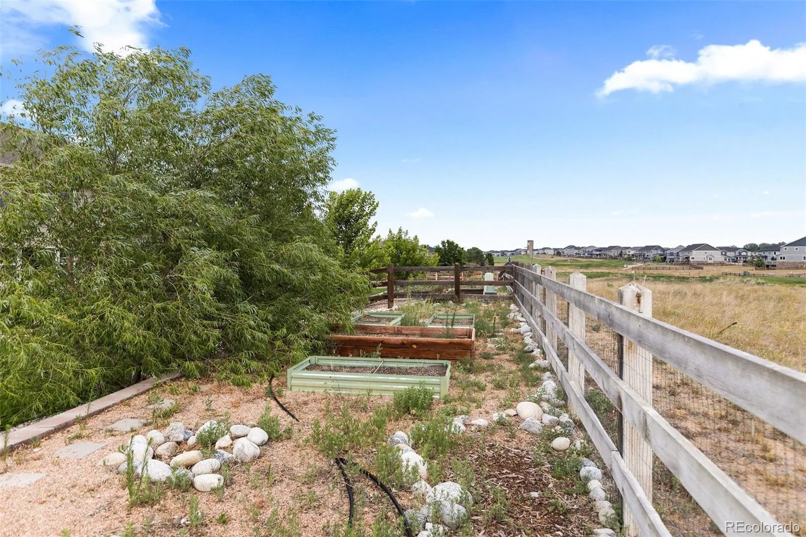 15924 E 117th Avenue Commerce City CO 80022 MLS #REC3705982 06292026154756 1600 43