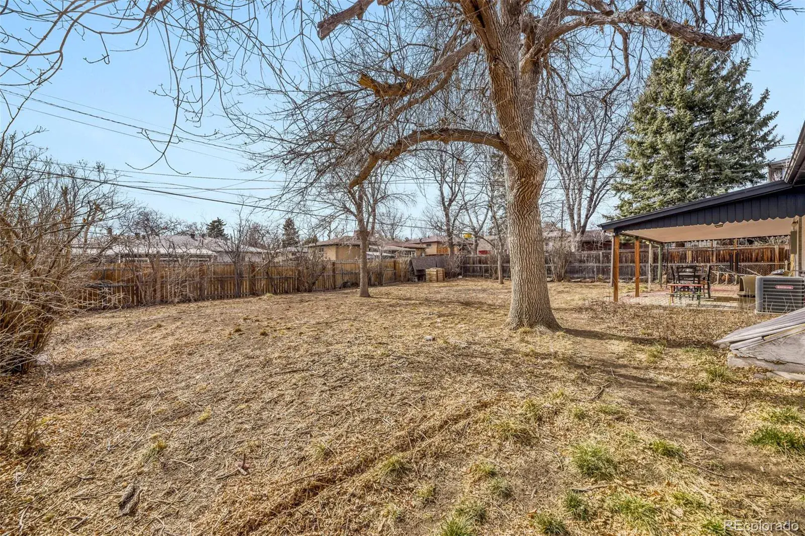 02232026153453 1600 24